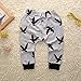 Canis Toddlers Baby Boys Clothes Set Long Sleeve Wild Boy T-Shirt Tops Pants Outfit Winter Spring (100(18-24M), Black+Grey)