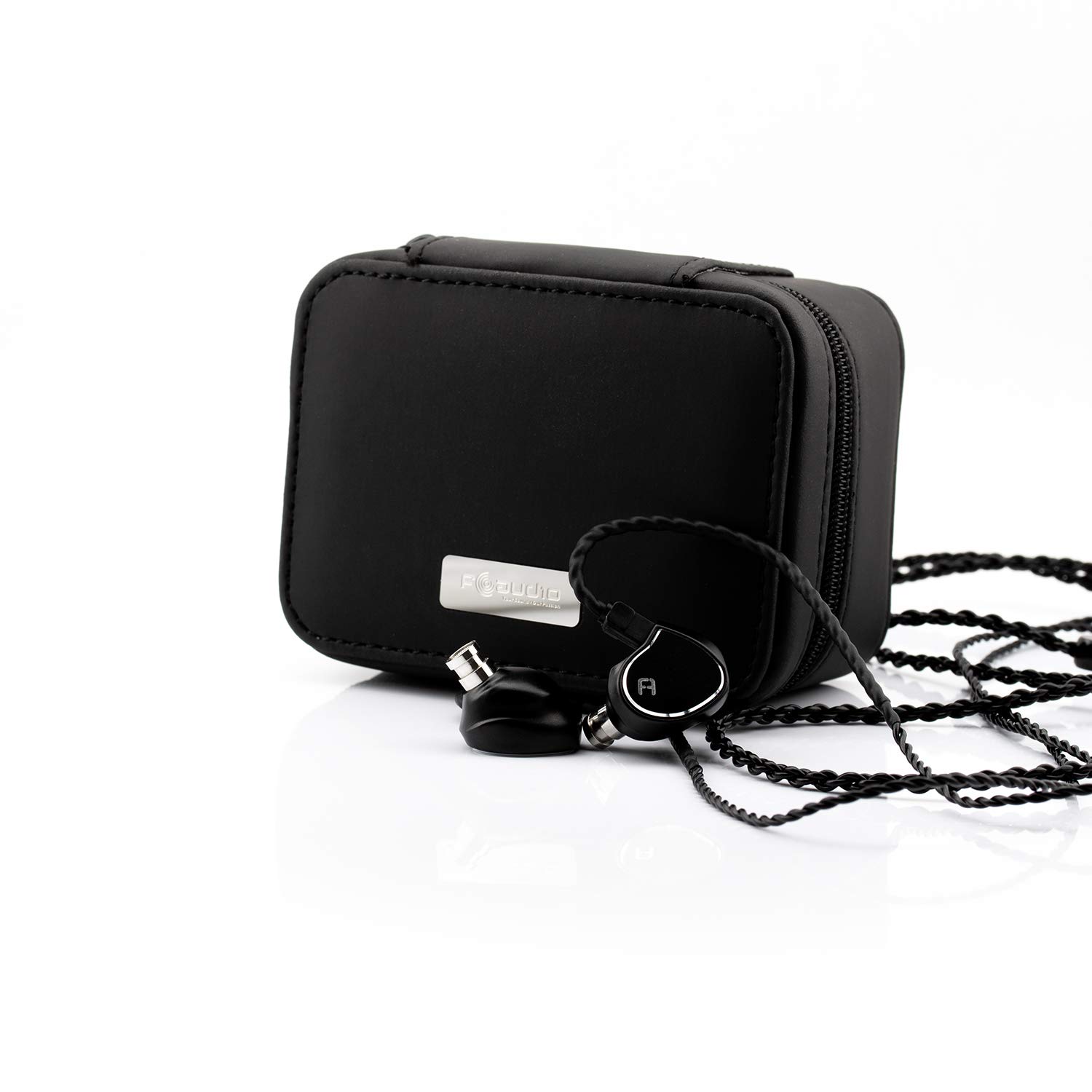 f:id:kanbun:20200112154012j:plain FAudio Passion