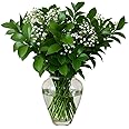 GlobalRose 80 Stems of Mixed Greens - Fresh Flowers Greens Perfect for Wedding