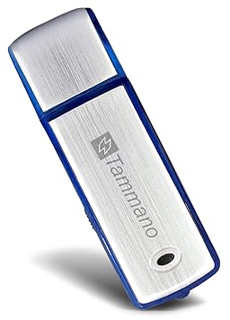 Digitales USB-Aufnahmegerät zum Spionieren von Gesprächen - Mini USB Sound Voice Recorder - mit 8 GB Flash-Drive - Eignet sic