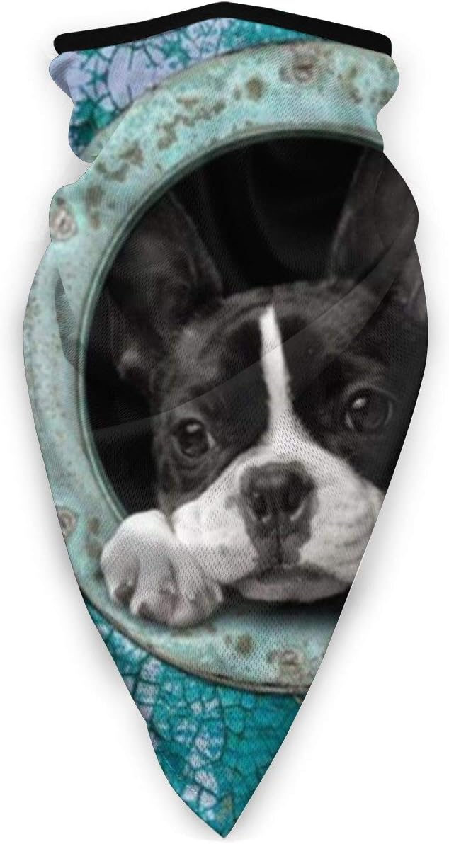 Bandana Face Mask, Boston Terrier Printed Breathable Headwear Face Cover Headband Neck Gaiter