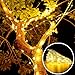 LOENDE Christmas Lights Battery Operated String Lights Outdoor String Lights Waterproof 8 Modes 100 LED Fairy Lights Copper Wire Firefly Lights Remote Control for DIY Wedding Party Decorations