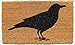 Evergreen Flag Black Raven Welcome Mat | 28 x 16 | Halloween Crow Welcome Mat | Non-Slip Rubber Backing | Dirt Catching Natural Fibers | Indoor and Outdoor Home Décor