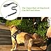 Pecute Dual Dog Leash, Tangle Free 2 Dog Leash Double Dog Walking & Training, Double Lead Dog Leash for Medium/Large Two Dogs with NO Tangle Bungee Leash Coupler