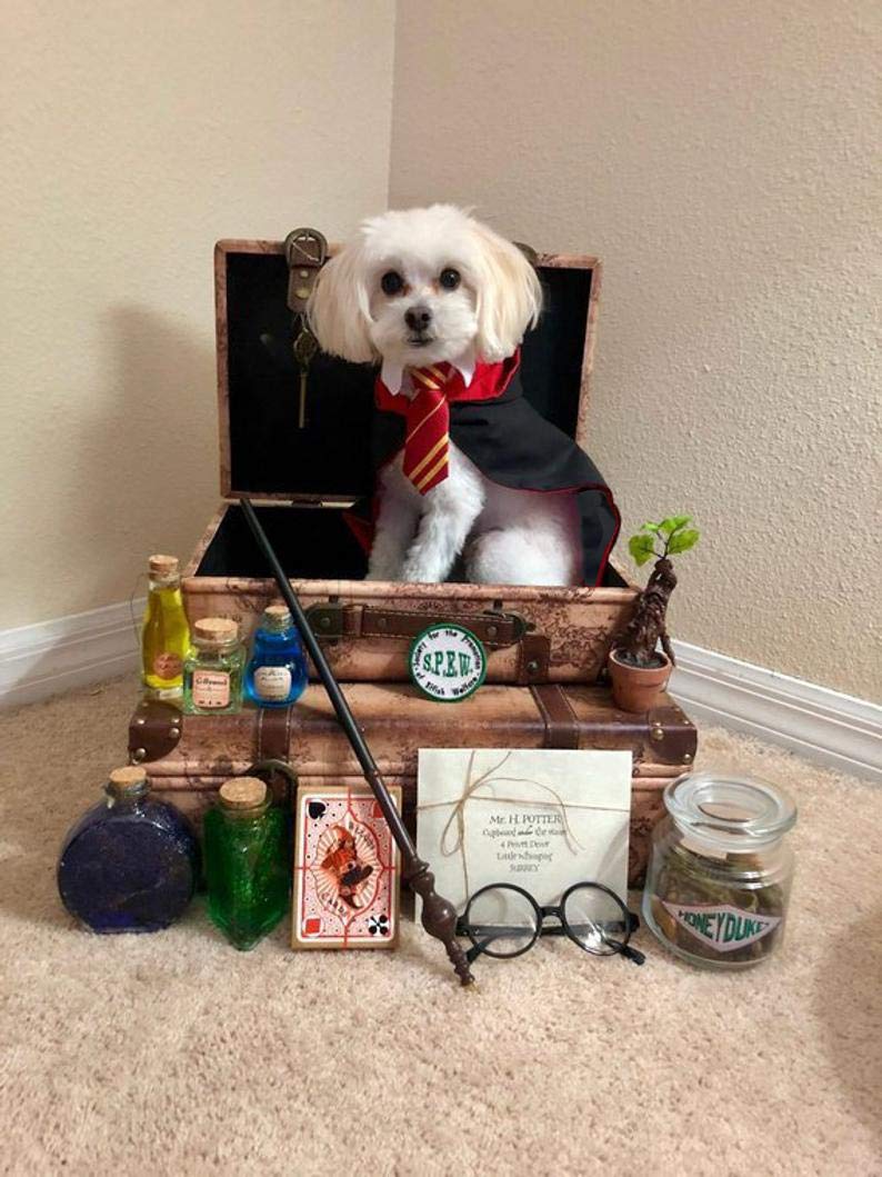 dog clothes for large dogs on Apparel Accessories Impoosy Halloween Pet Dog Shirt Puppy Cat Wizard Costume Cute Clothes For Small To Large Dogs Cats Outfits With Glasses Costumes