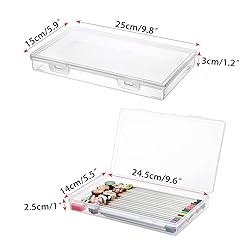 BTSKY Clear Plastic Storage Box with Flap