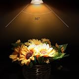 Caldarax 8 Pack MR16 Halogen Bulbs 12V GU5.3 20W Dimmable 2700K 210LM view 5