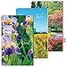 Day-Timer 2019 Weekly Planner Refill, 5-1/2