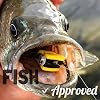 Bass-Panfish-Popper-Assortment-6-Flies-with-Fly-Cup