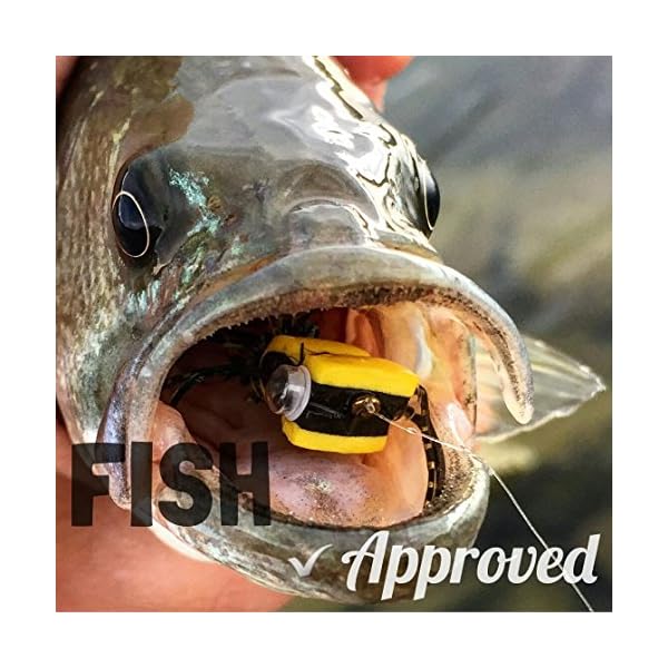 Bass-Panfish-Popper-Assortment-6-Flies-with-Fly-Cup
