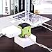 ESYWEN International Travel Power Adapter with 2.4A Dual USB Charger & Worldwide AC Wall Outlet Plugs for UK, US, AU, Europe & Asia - Built-in Spare Fuse (green)