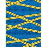 Creative Converting 329398 PHOTO BACKDROP, 72 x 54-, Multicolor