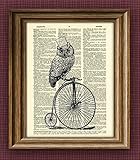 Owl Steampunk Art Print TOP HAT OWL on a Penny Farthing Bicycle bike print over an upcycled vintage dictionary page book art