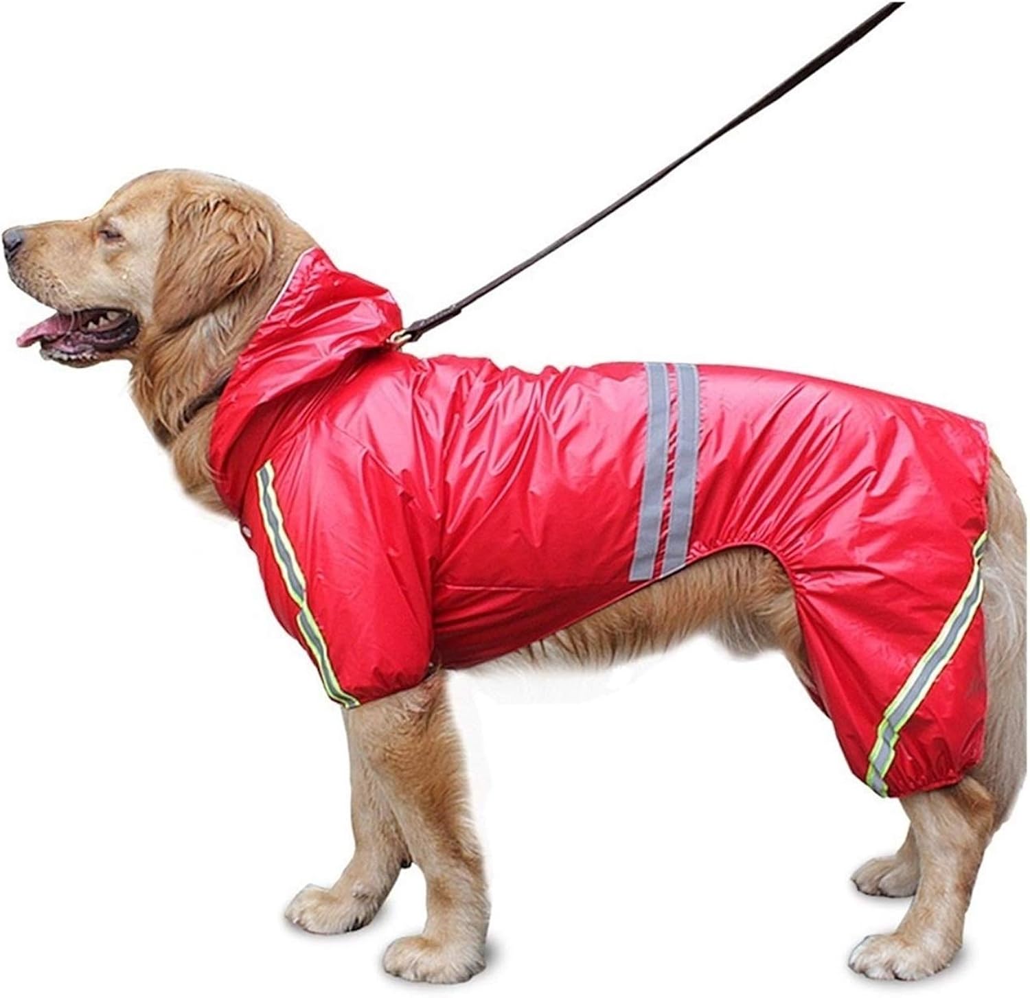 Transparenter Regenmantel Für Hunde - Wasserdicht & Verstellbar Mit Kapuze