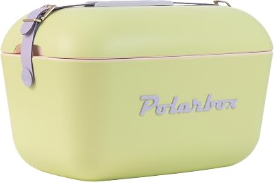 Frigorifero classico retrò vintage per campeggio, pic-nic, spiaggia, 20 l, lime, lilla, lime, verde e rosa