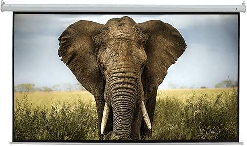 Homegear 110" HD Motorized 16:9 Projector Screen W/Remote Control