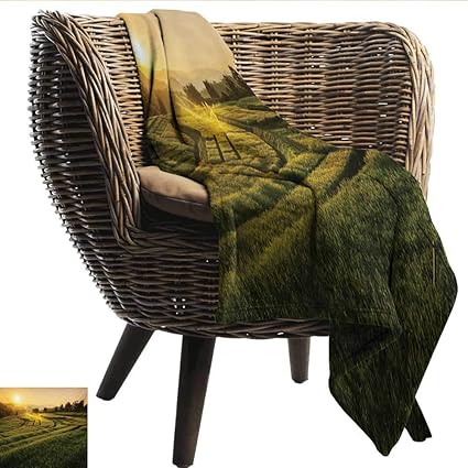 Amazoncom Anshesix Decorative Throw Blanket Country Barley - 