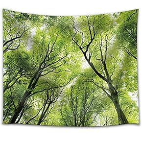 Tree Tops in The Forest - Fabric Tapestry, Home Decor - 51x60 inches