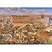 Jet 1000 Piece Puzzle Old Market