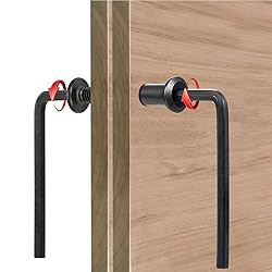 Xrfoiniu 100 Sets Bolt Set - M6x40mm Black Metal