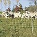 Premier 1 Enhanced Electric Sheep & Goat Net Fence | Yellow – 40