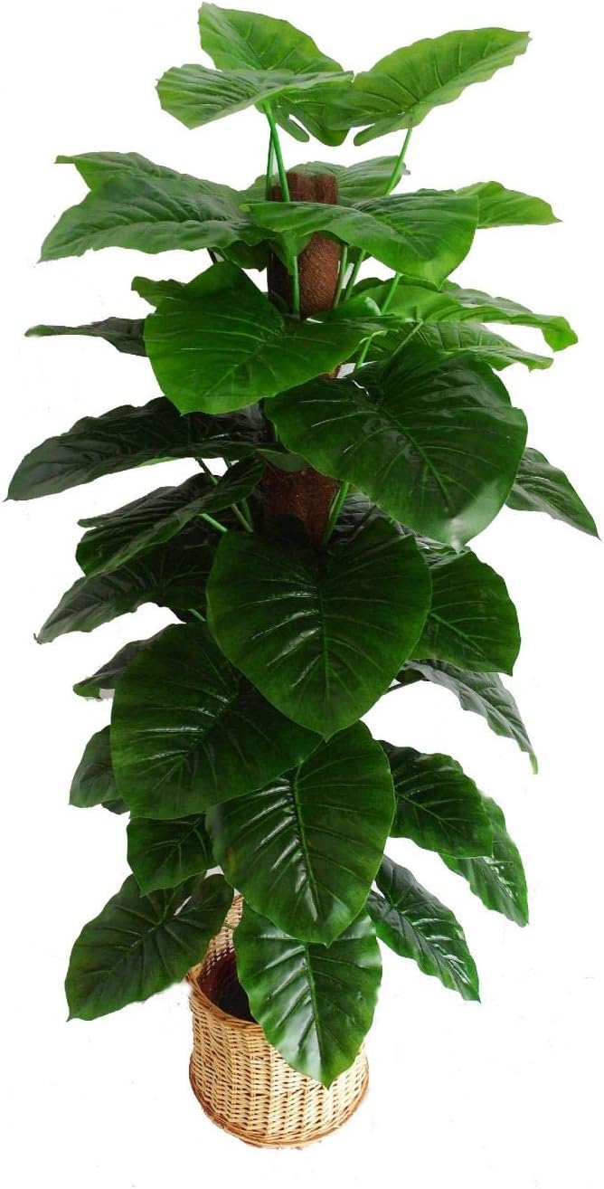 Hyperboles Plastic Artificial Plant Mostiq Tree with Bendable and Adjustable Branches Without Pot (Green, Standard Size)