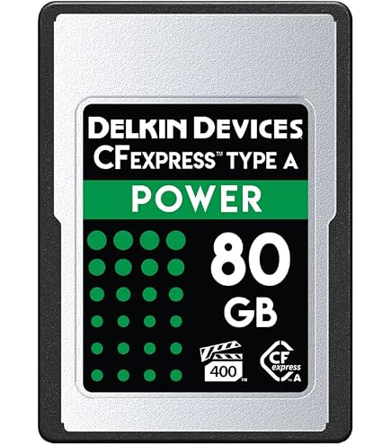 Amazon.com: Lexar Gold Series Professional 80GB CFexpress Type-A