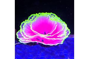 Eco-Friendly Glowing Artificia Aquarium Décor Aquarium Glowing Coral Decorations - Fish Tank Decoration Silicone Ornament Pla