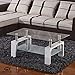 SUNCOO Rectangular Glass Coffee Table Shelf Wood Living Room Furniture Chrome Base (White)