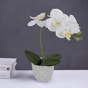LIVILAN White Silk Artificial Orchids Arrangements with Ceramic Vase for Decoration Fake Flowers for Table Centerpiece Home Decor Office Wedding Party Vivid Lifelike