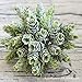 Supla 2 Bushes 7 inch Artificial Hops Artificial Shrubs Artificial Succulent Faux Succulents Faux Pinecone Plastic Succulents, 6 Stems Bush