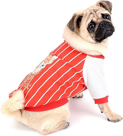 Amazon Com Zunea Dog Sweater Coat Soft Cotton Winter Warm Jacket