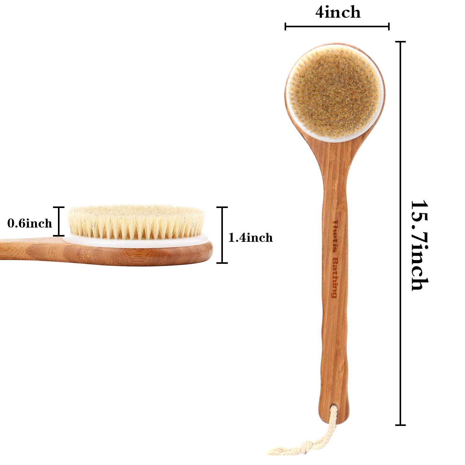 Body Brush with Long Bamboo Handle - Natural Bristle, Back Scrubber for Exfoliating Skin, Improve Circulation and Shower Brush for Skin Health - Wet or Dry body Brushing by THETIS Homes : Beauty