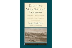 Divining Slavery and Freedom: The Story of Domingos Sodré, an African Priest in Nineteenth-Century Brazil (New Approaches to the Americas)