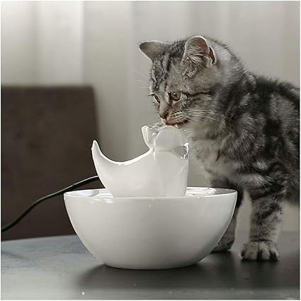 Catpets Fontaine à Eau Pour Chat Fontaine à Eau Pour