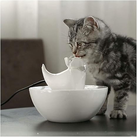 Cpatog Fontaine à Eau Pour Chat Chien Animaux De Compagnie