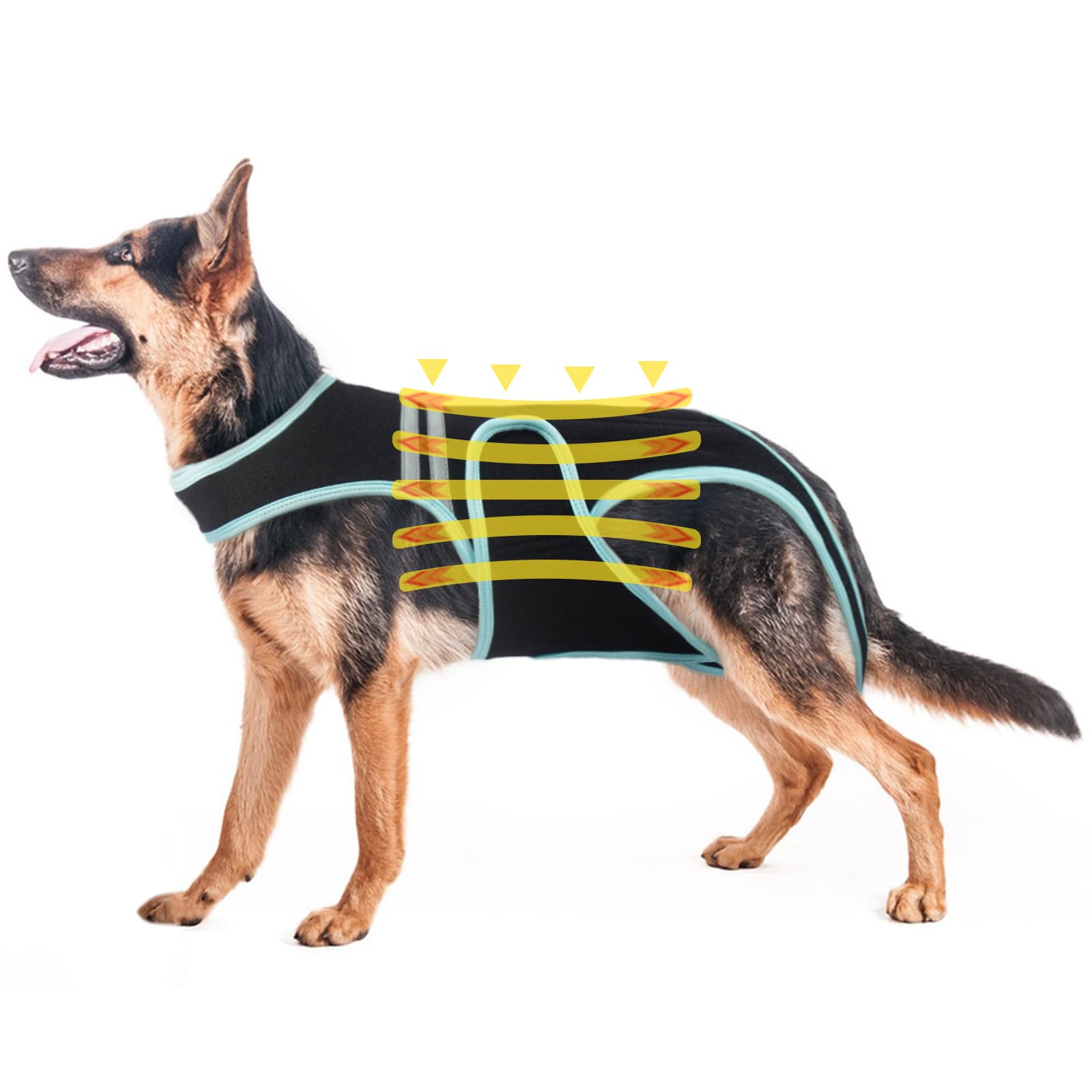 Dog Intervertebral Disc Protective, Dog Hip Support Brace, Comfortable Spine Support Vest, Back Protective Brace Helps Pain Relief, Facilitate Surgical Recovery, Prevent Back Diseases in Dogs(3XL)