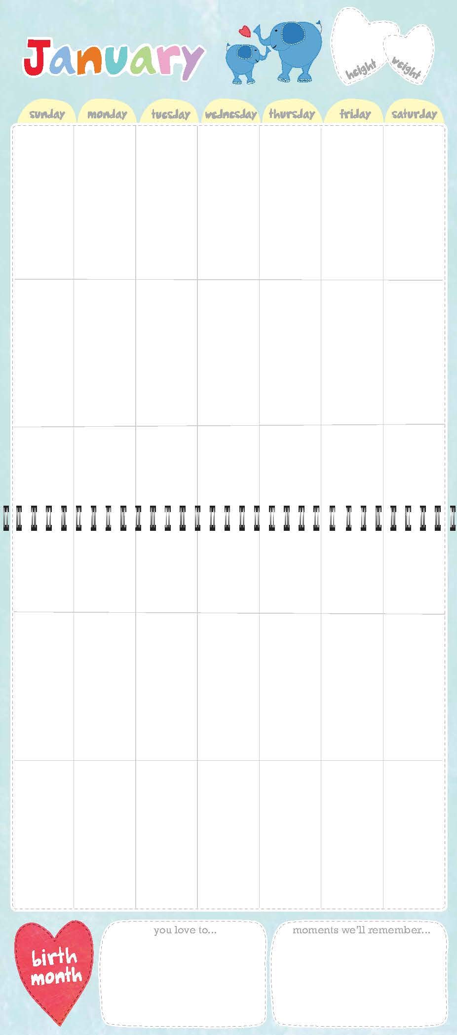 Baby's First Year: A Welcome Little One Keepsake, Memories Journal and Undated Monthly Calendar to Hang & Display (baby shower gifts for new parents) (Welcome Little One Baby Gift Collection)