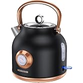NESSGRAIM Retro Electric Kettle, 1.7L Stainless Steel Tea Kettle with Large Temperature Gauge, 1500W Fast Heating Hot Water Boiler with LED Indicator, Auto Shut-off &amp; Boil-Dry Protection-Reteo Black