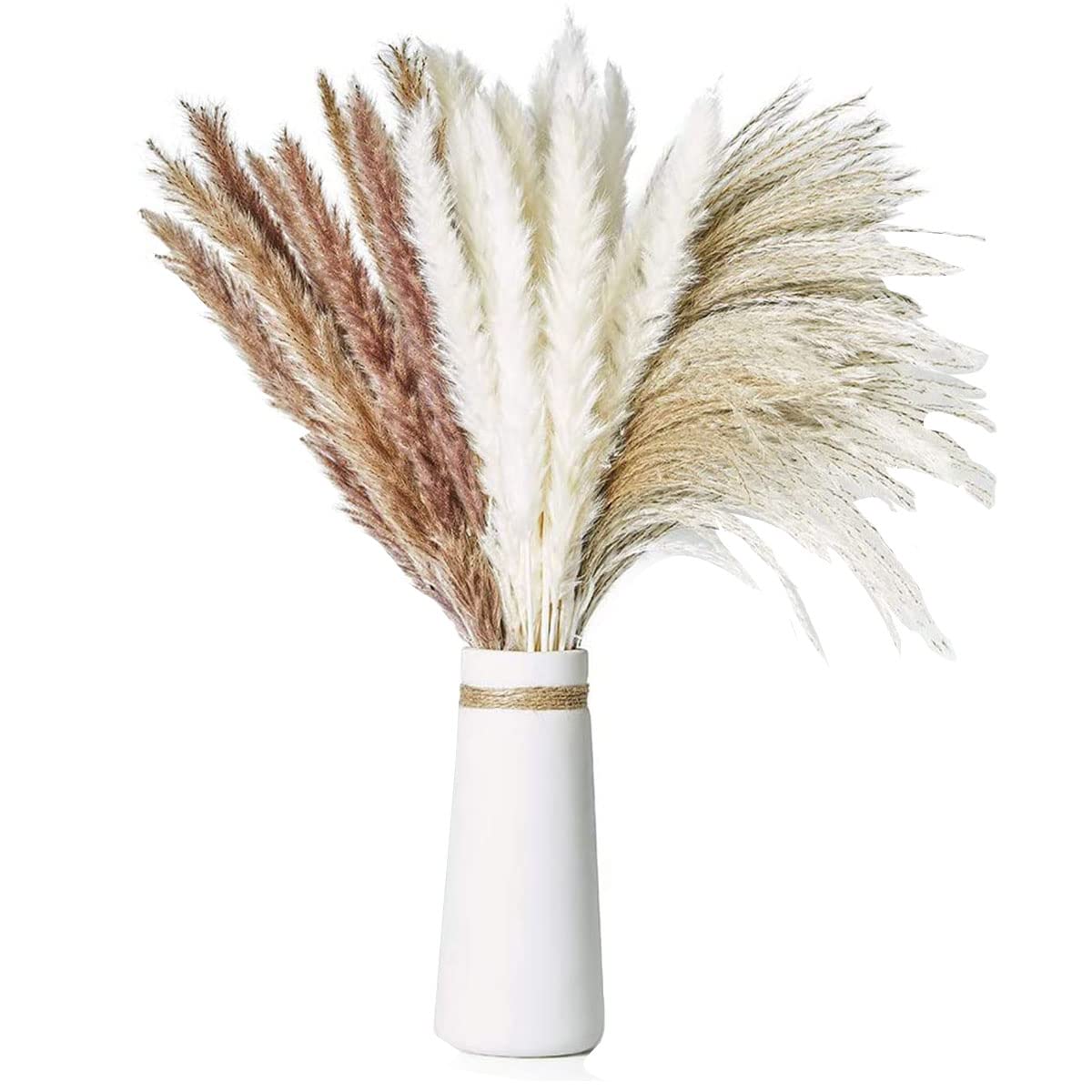 MOTONG Pampas Grass, 60 PCS Natural Dried Pampas Grass Home Decor, 50cm Large 3 Colors Pampas Grass Vase Living Room Kitchen Bedroom Table Plant Wedding Home Decoration Accessories