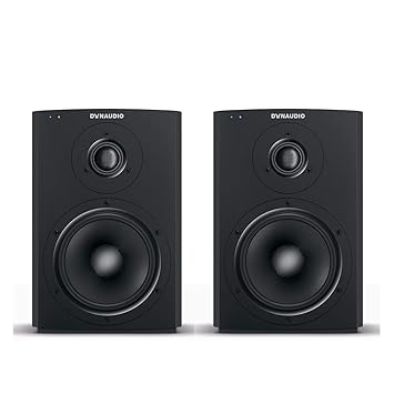 dynaudio xeo 2 subwoofer