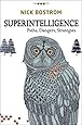 Superintelligence: Paths, Dangers, Strategies