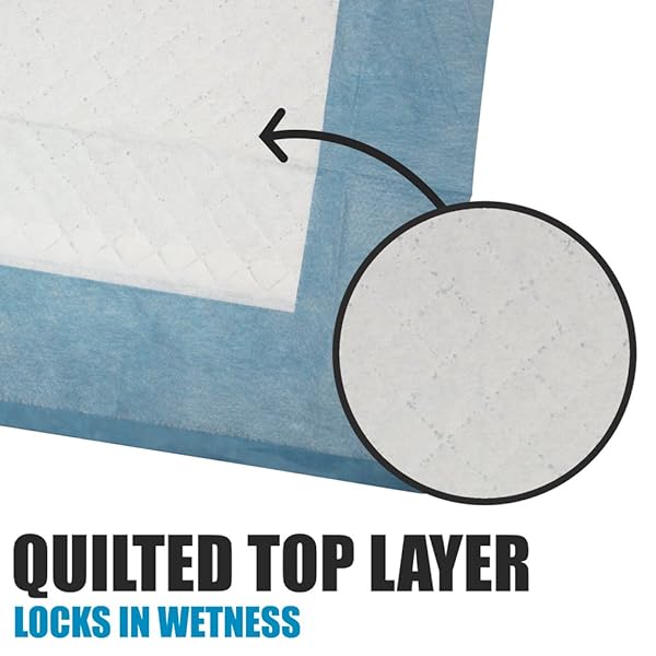 BV PUPPY PADS LEAK-PROOF 100 COUNT 22″X 22″ – ABSORBENT PEE PADS FOR DOGS WITH 6-LAYER DESIGN, RAPID DRY SHEET & BUILT-IN ATTRACTANT – DOG PAD WITH ODOR CONTROL, PERFECT FOR PUPPIES & SENIOR DOGS
