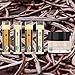 Lip Balm and Scrub Bundle - 4 Pack of Vanilla & Honey Lip Moisturizer with Exfoliating Sugar Scrub, Best Gift for Stocking Stuffer, Birthday or Present for Women and Girls, USDA Certified Organic