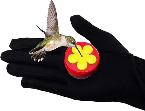 Hummingbird Feeder Mini Handheld Different Pack Available