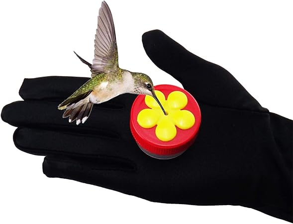 Amazon Com Artpet Hummingbird Feeder Mini Handheld Different