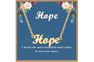 Ldurian Teacher's Day Gift Custom Name Necklace Personalized | Name Pendant Necklace Christmas Gifts | 14K Gold Dainty Name Plate Charm Necklaces Birthday Girl Jewelry Gift for Teen Girls