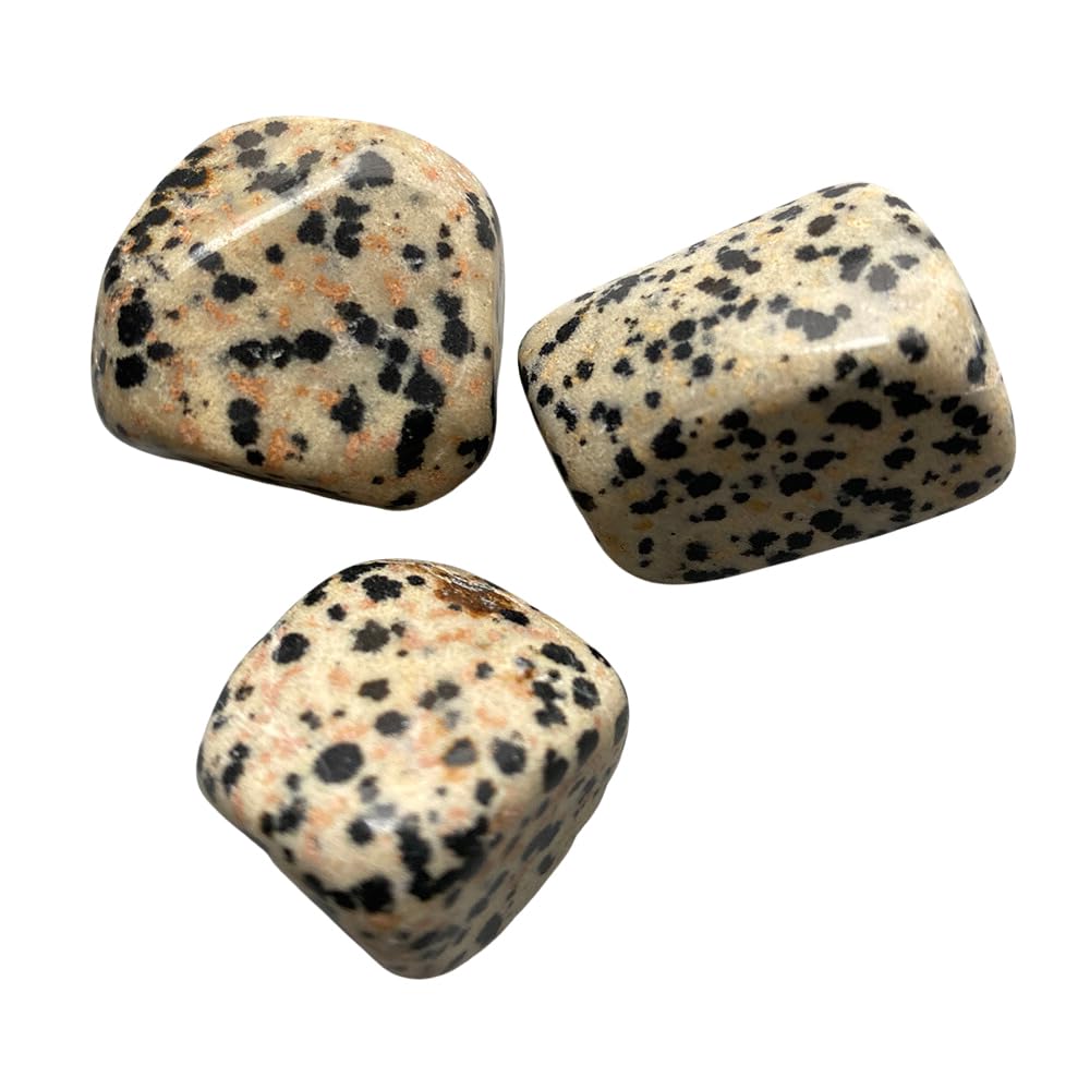 VIE Tumbled Crystals, Pack of 6, Dalmatian Jasper