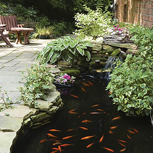 TetraPond Water Garden Pump, Powers Waterfalls/Filters/Fountain Heads