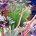 Smarlin Artificial Aquarium Plants, Fake Fish Tank Plants Decor, 3 Pack, Realistic & Non-Toxic & Safe for All Fishes (14 inches5 pcs, Green)thumb 4
